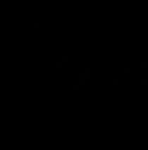 Mori Optical logo