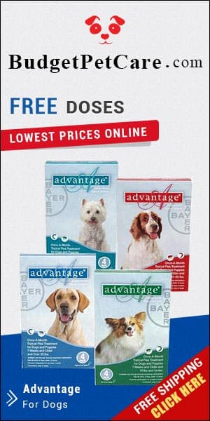 Budget Pet Care discount coupons and deals