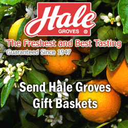 Hale Groves discount coupons and deals