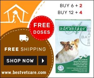 Best Vet Care discount coupons and deals