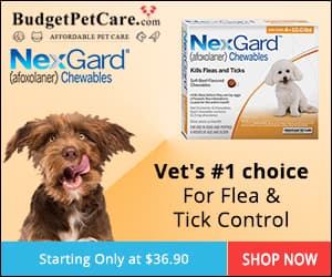 Budget Pet Care discount coupons and deals