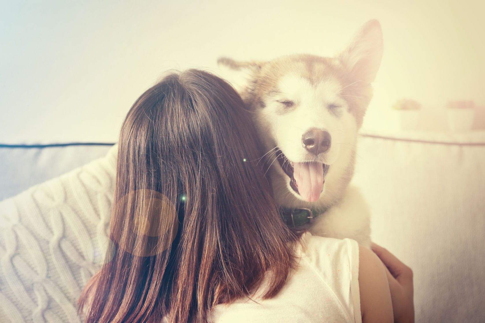 Raw Paws Pet Food discount coupons and deals