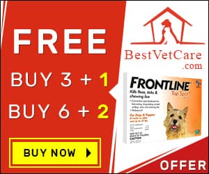 Best Vet Care discount coupons and deals