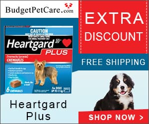 Budget Pet Care discount coupons and deals